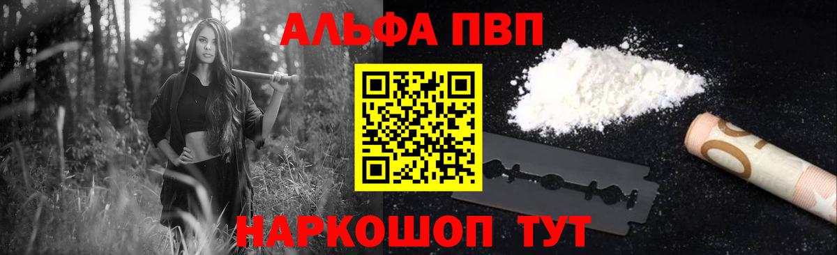 A-PVP СК Новодвинск
