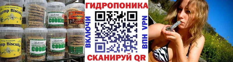 Cannafood конопля  Новодвинск 