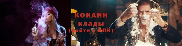 дурь Новодвинск