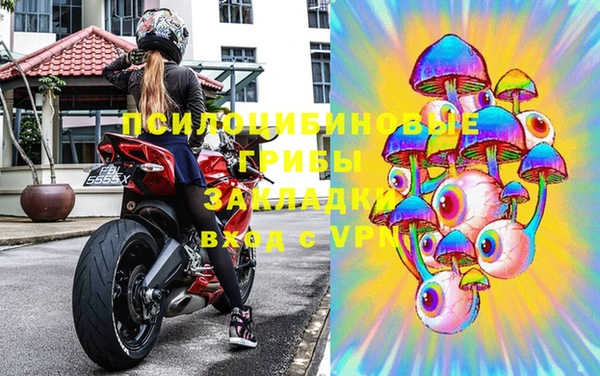 дурь Новодвинск