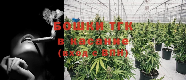 дурь Новодвинск