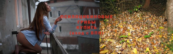 прущая мука Нефтегорск