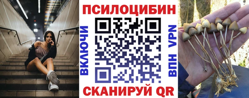 Псилоцибиновые грибы MAGIC MUSHROOMS Новодвинск