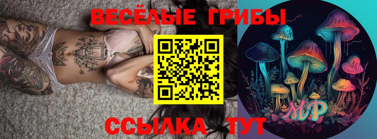Псилоцибиновые грибы GOLDEN TEACHER  Новодвинск  Псилоцибиновые грибы Psilocybine cubensis 