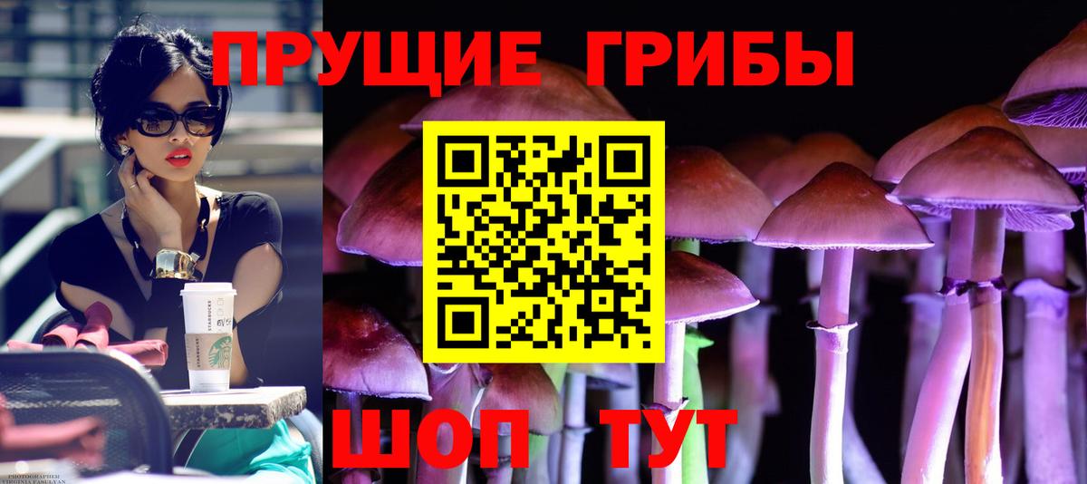 Новодвинск  Галлюциногенные грибы мицелий  Вход с VPN  Псилоцибиновые грибы мухоморы 