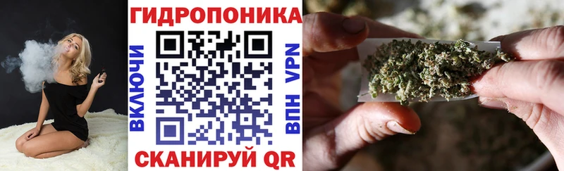 наркота  Новодвинск  Конопля Bruce Banner 